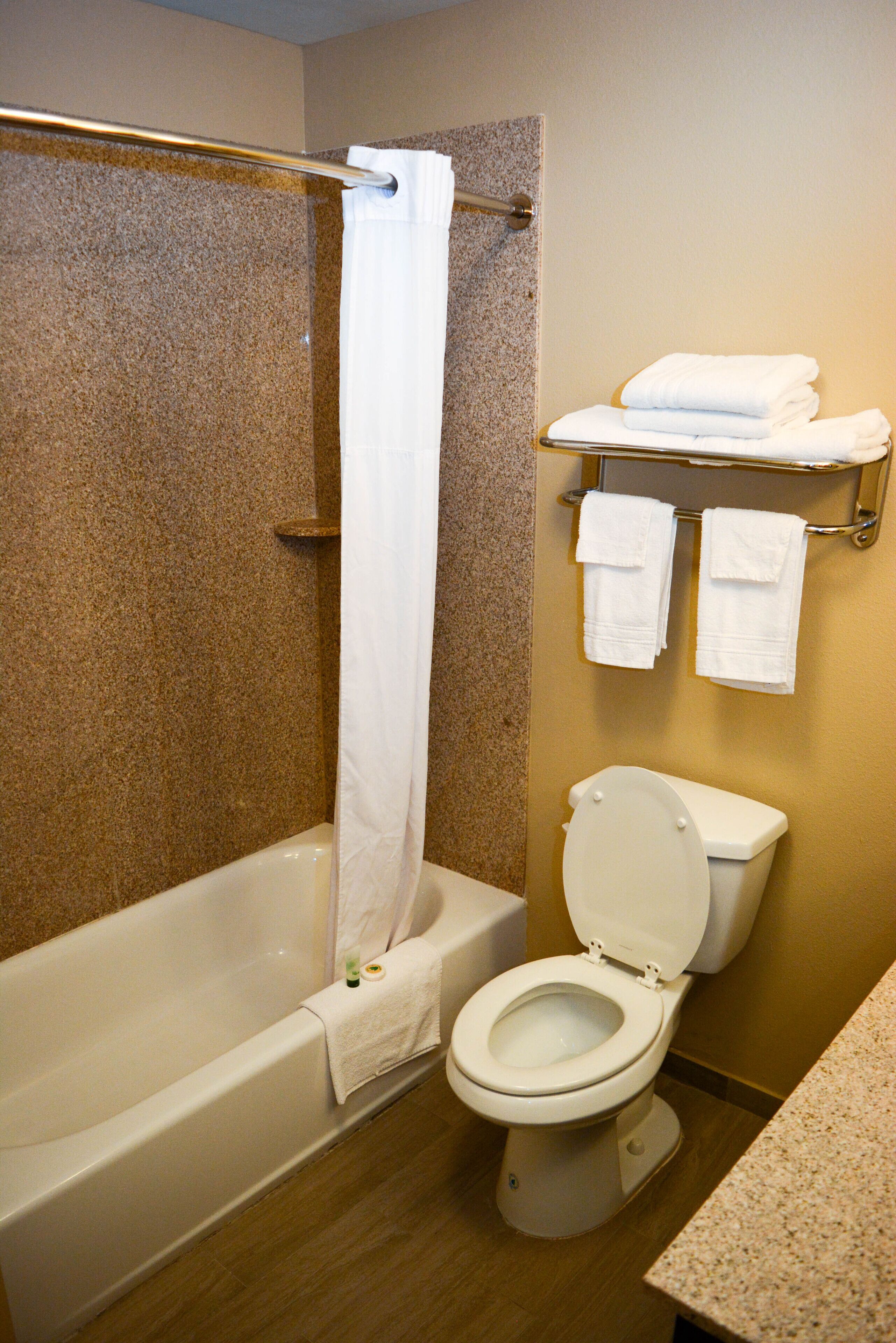 bathtub, free toiletries, hair dryer, towels