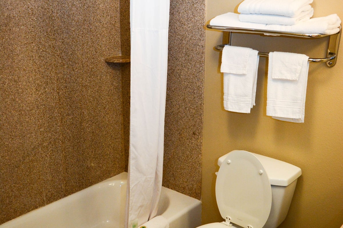 bathtub, free toiletries, hair dryer, towels