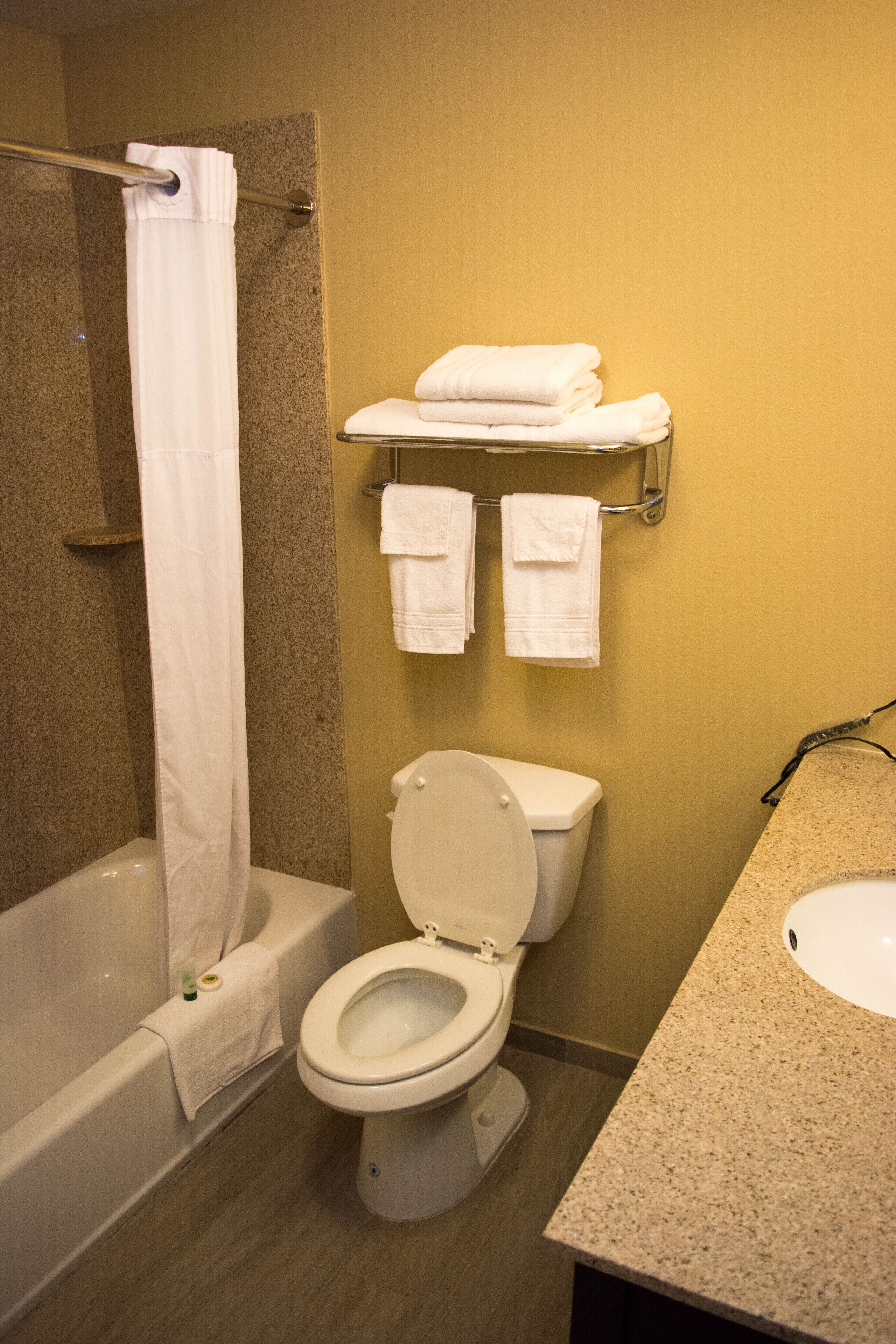 bathtub, free toiletries, hair dryer, towels