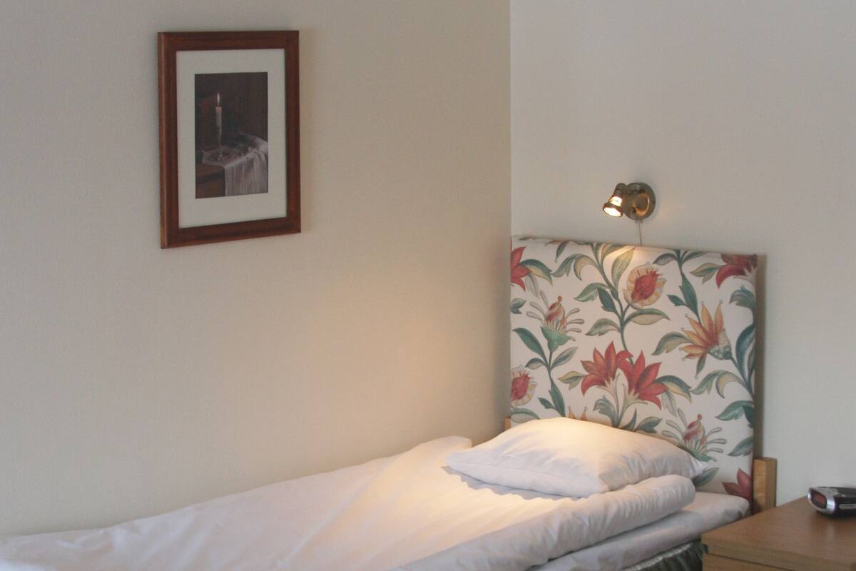 Single Room, Private Bathroom | Individually decorated, desk, cots/infant beds, rollaway beds