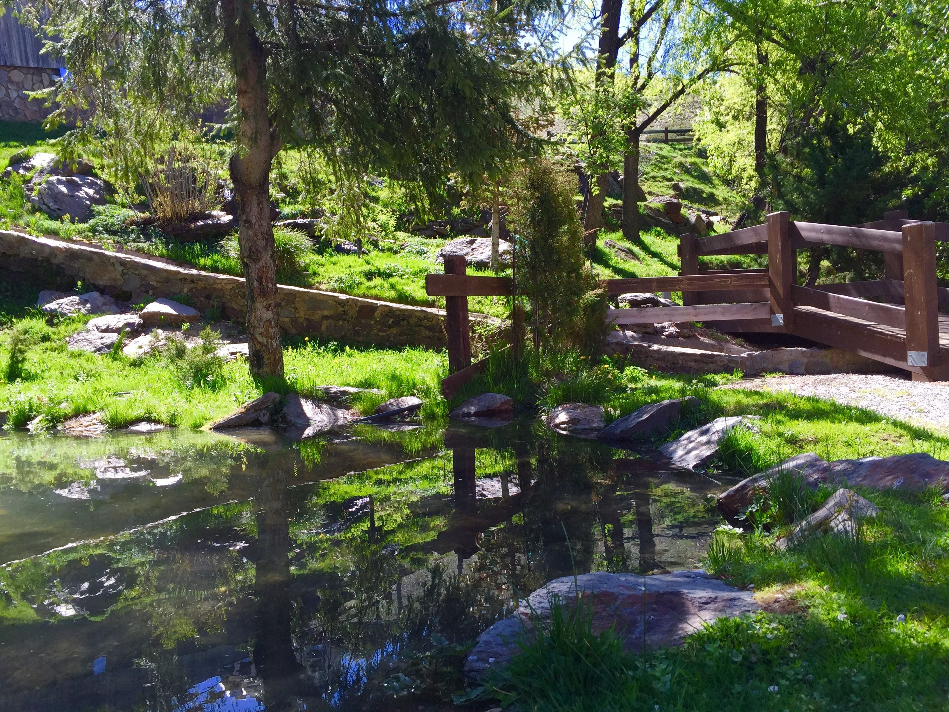 Ein friedlicher Teich mit einer Holzbrücke, umgeben von üppigem Grün und Felsen.