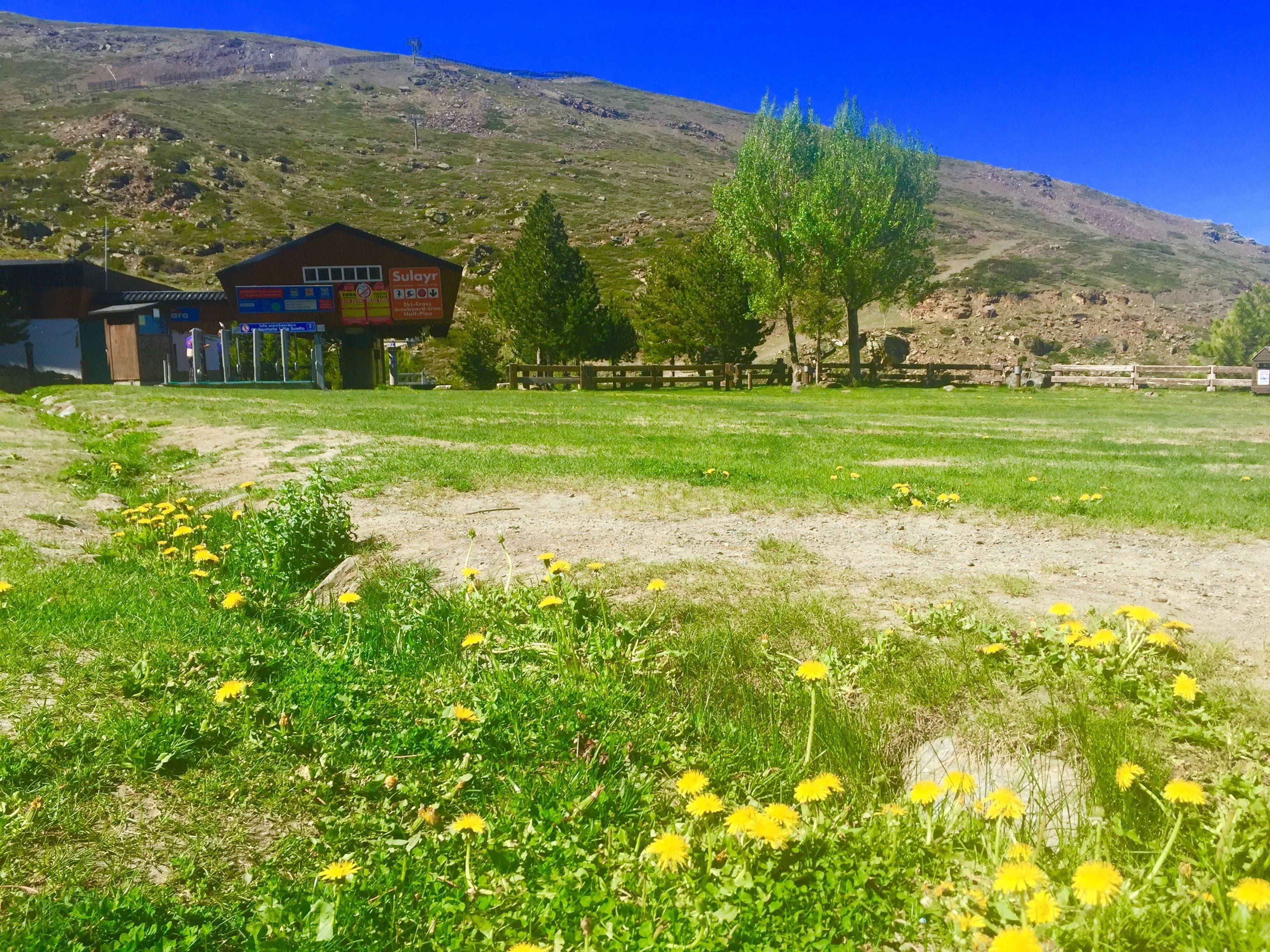 Un edificio con un letrero, un campo cubierto de césped y flores amarillas, y montañas al fondo.