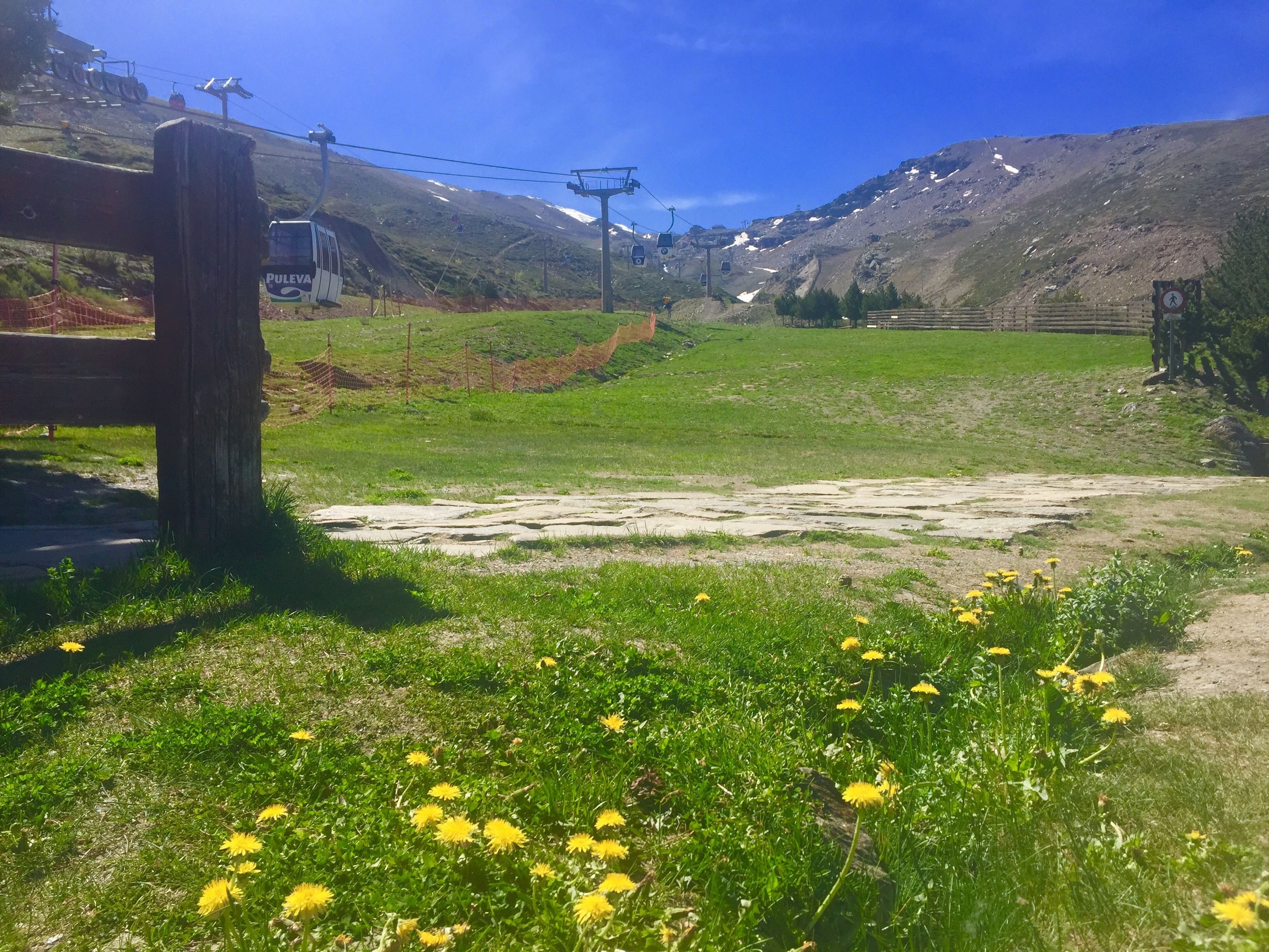 A mountainous landscape with a ski lift, a wooden fence, and a grassy area with yellow flowers.