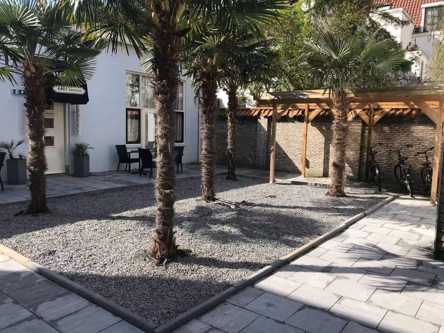 Une cour agrémentée de palmiers, un espace de repos abrité et des vélos.