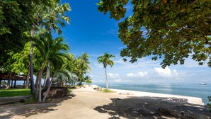 A paved pathway leading to a beach with palm trees and a clear view of the ocean. - Garden Sea View Resort (Pattaya)