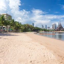 Plage privée, chaises longues, parasols, serviettes de plage