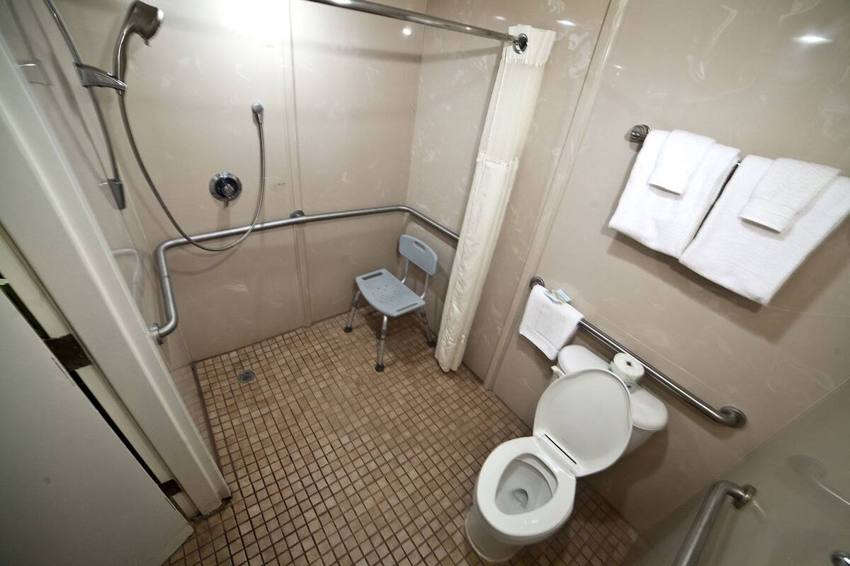 A wheelchair-accessible bathroom with a shower, toilet, and grab bars.