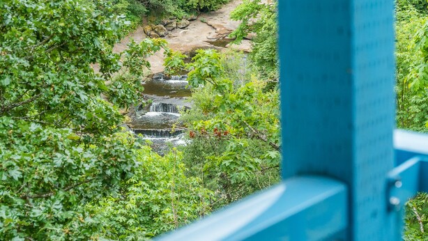 Une vue d’une petite cascade entourée d’une végétation luxuriante, prise depuis l’arrière d’une structure bleue.