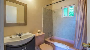 Hair dryer, towels