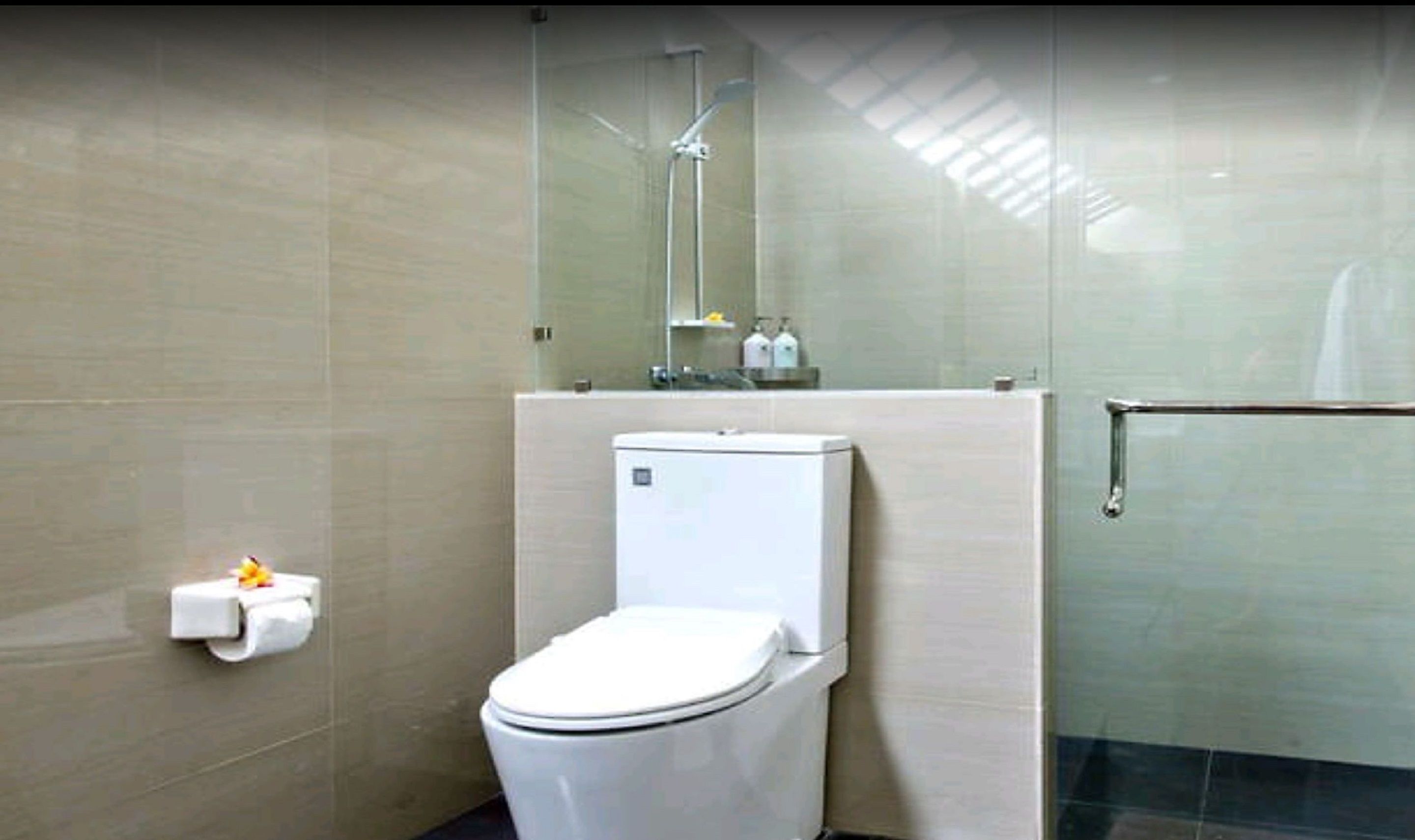 A modern bathroom with a toilet, a glass shower enclosure, and a handrail.