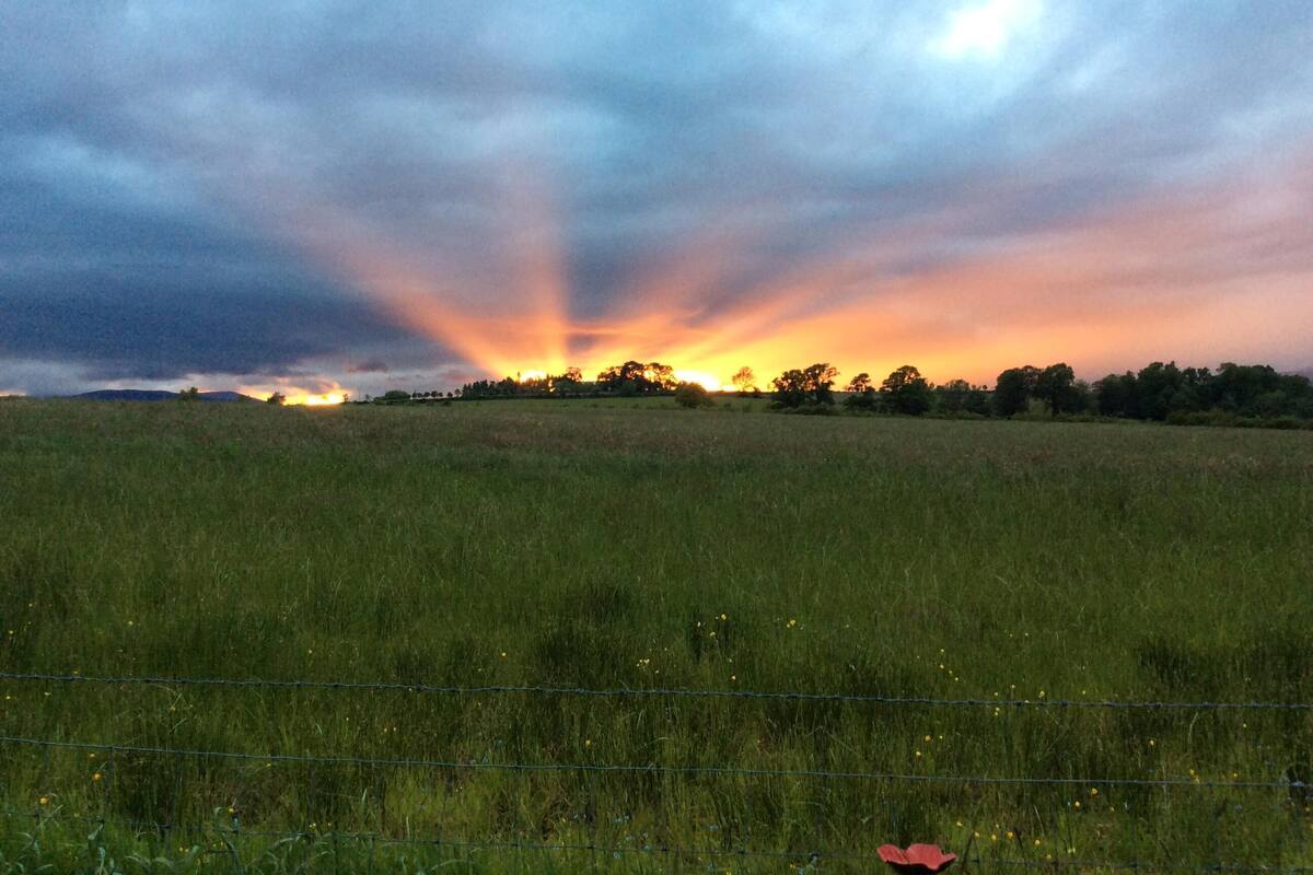 View from property
