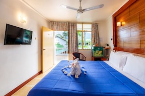 Deluxe Double Room, 1 King Bed | View from room