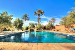 Outdoor pool, pool loungers