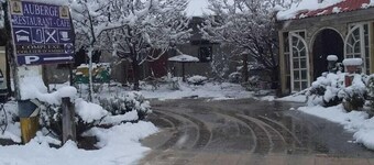 콤플렉스 콜리에 담브르