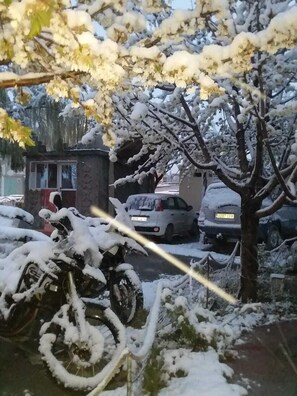 免費自助泊車