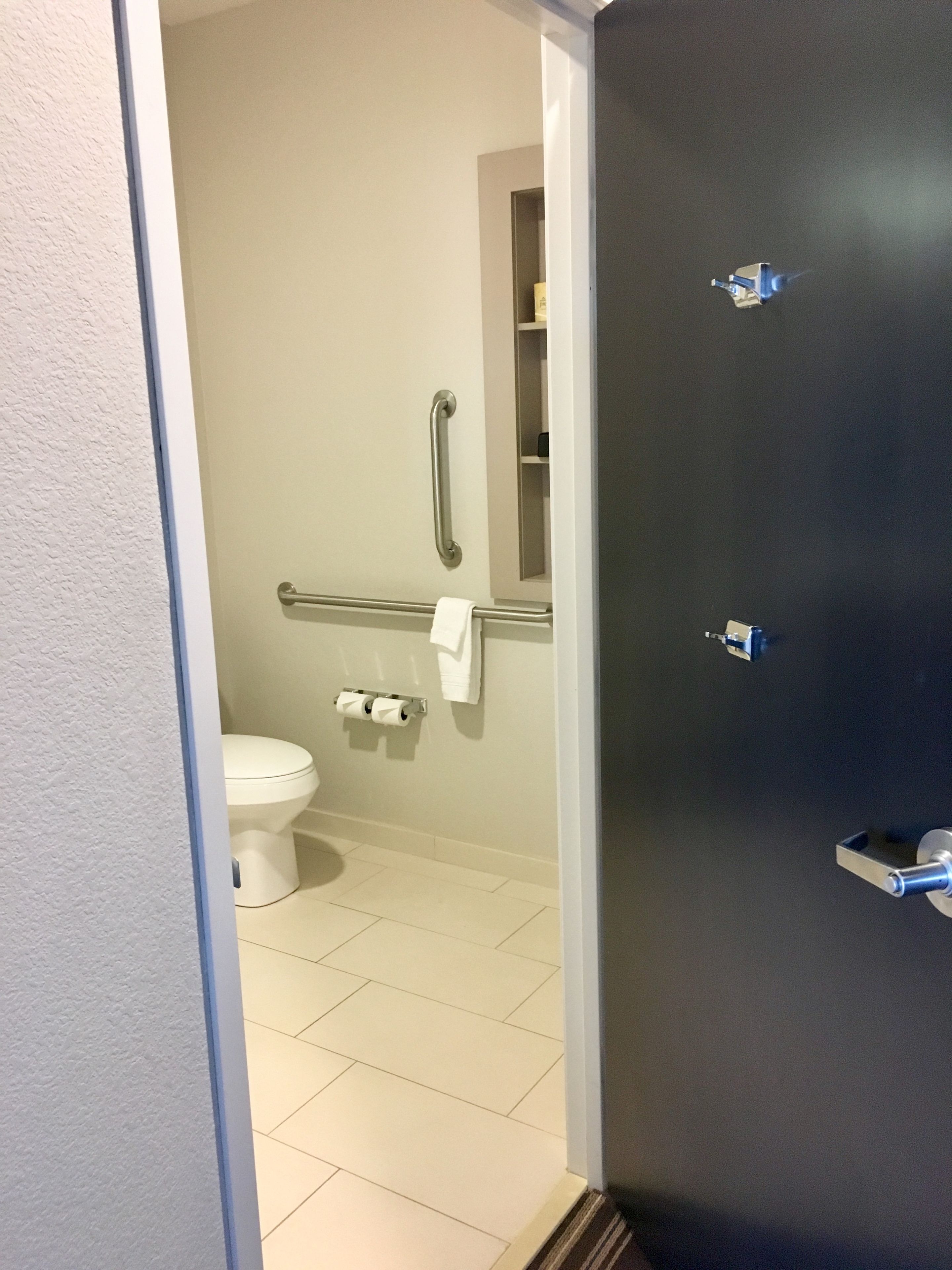 A bathroom with a toilet, handrails, a towel rack, and a dark door.