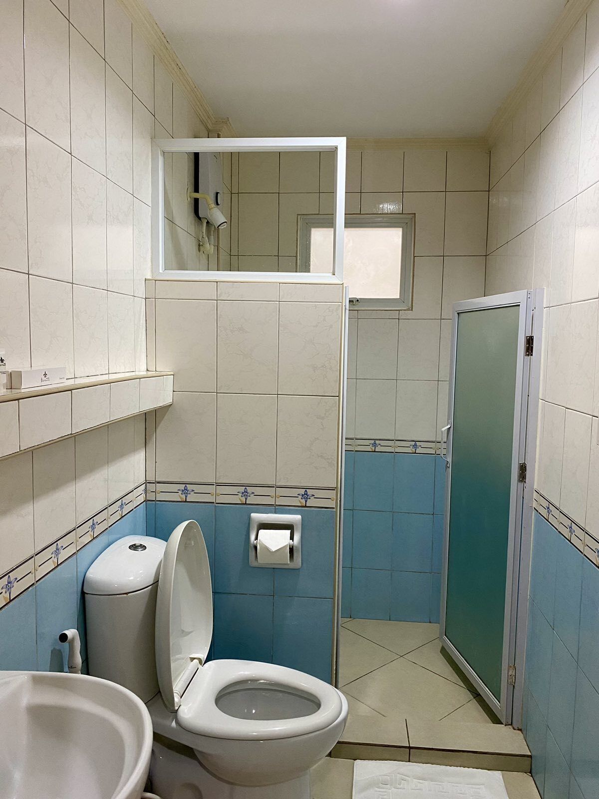 A bathroom with a toilet, bidet, and a mirror.