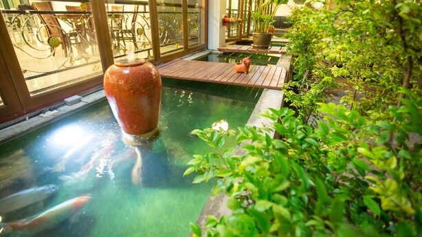 A koi pond with a large ceramic pot, surrounded by lush greenery and a wooden deck. - Pangviman Place Resotel (Chiang Mai)