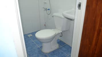 Regadera, amenidades de baño gratuitas, secadora de cabello, bidet