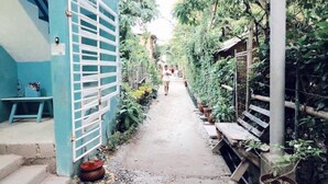 A narrow pathway flanked by greenery and a blue building with a metal gate.