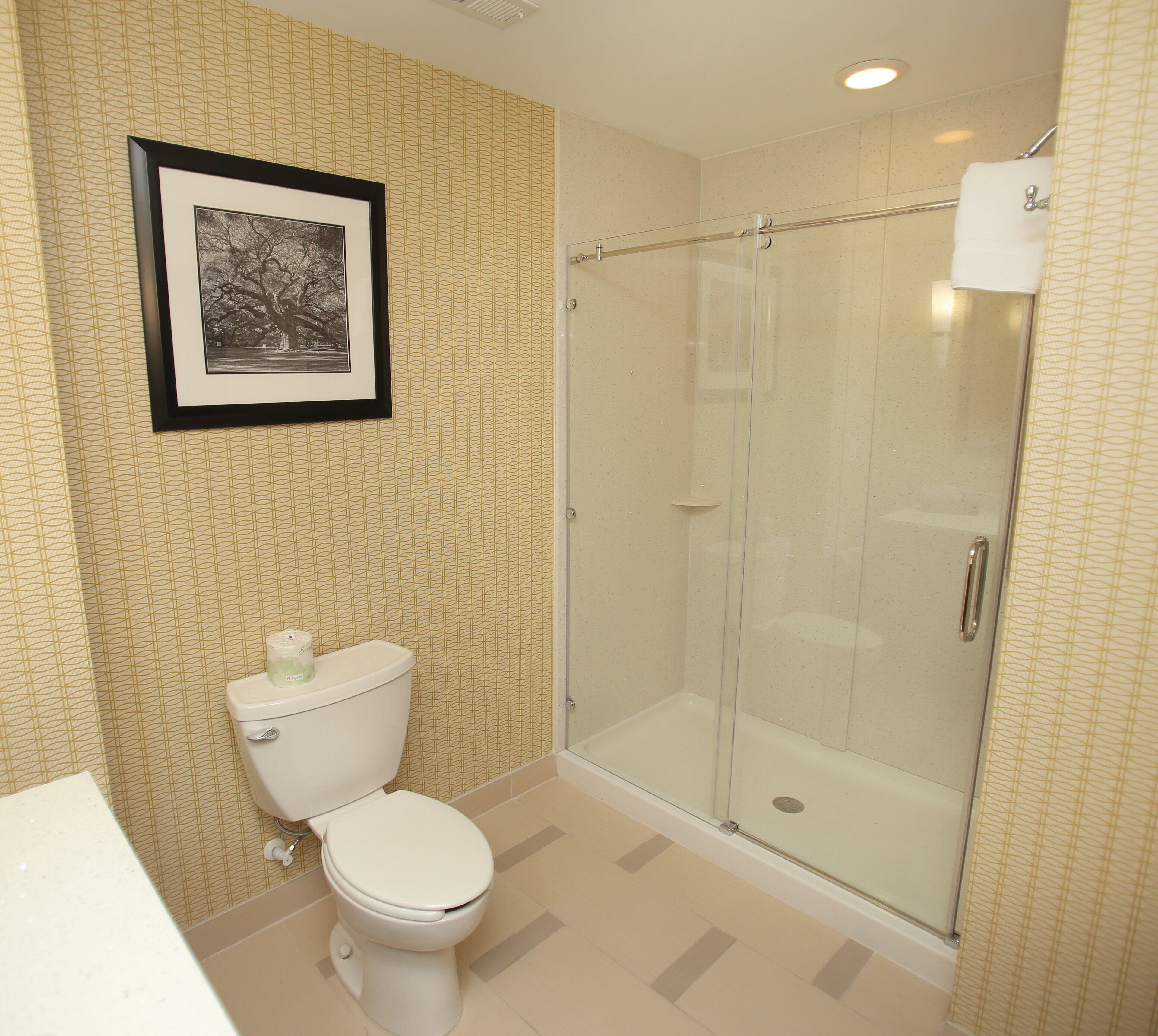 free toiletries, hair dryer, towels, soap