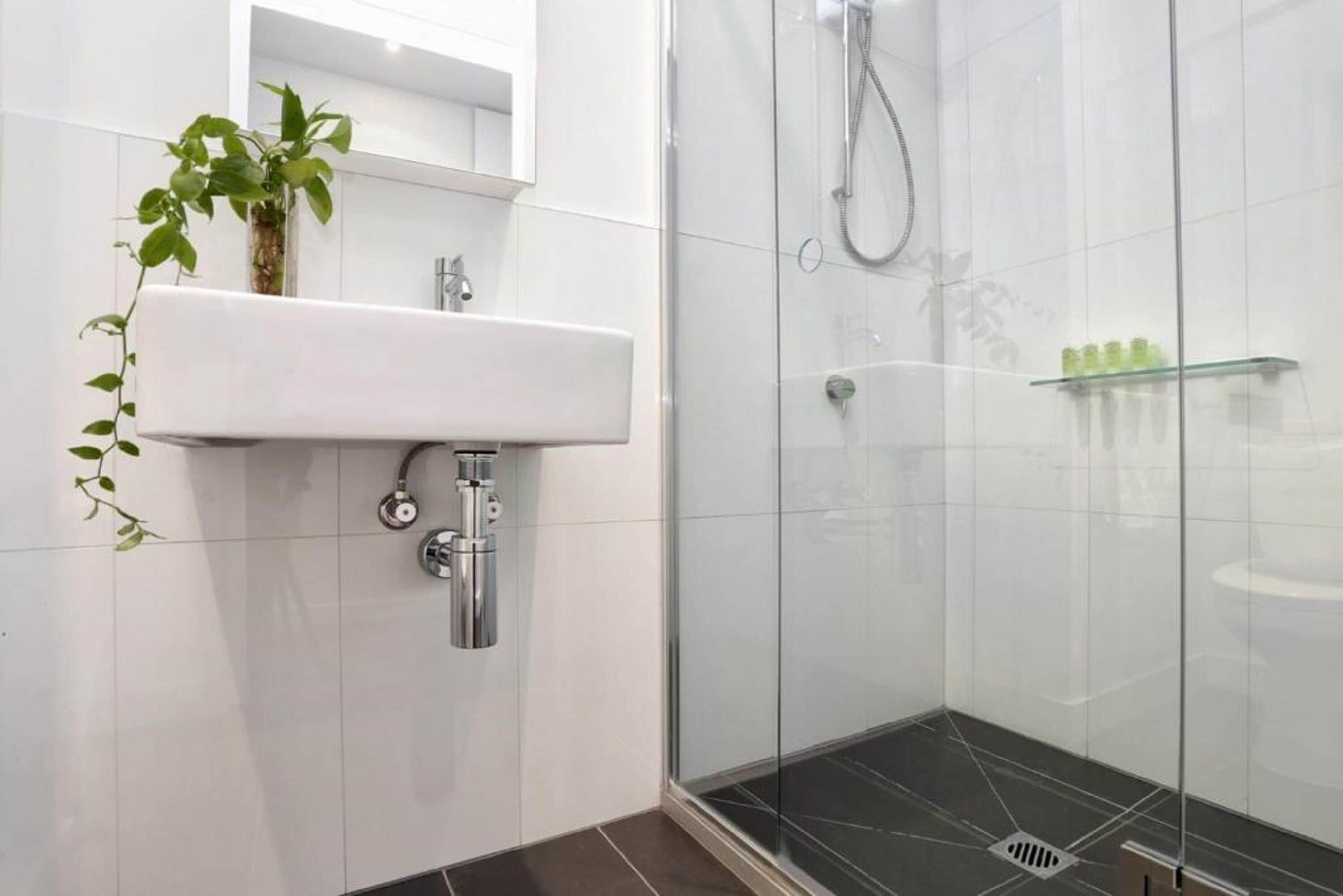 A modern bathroom with a glass shower enclosure, a white sink, and a potted plant.
