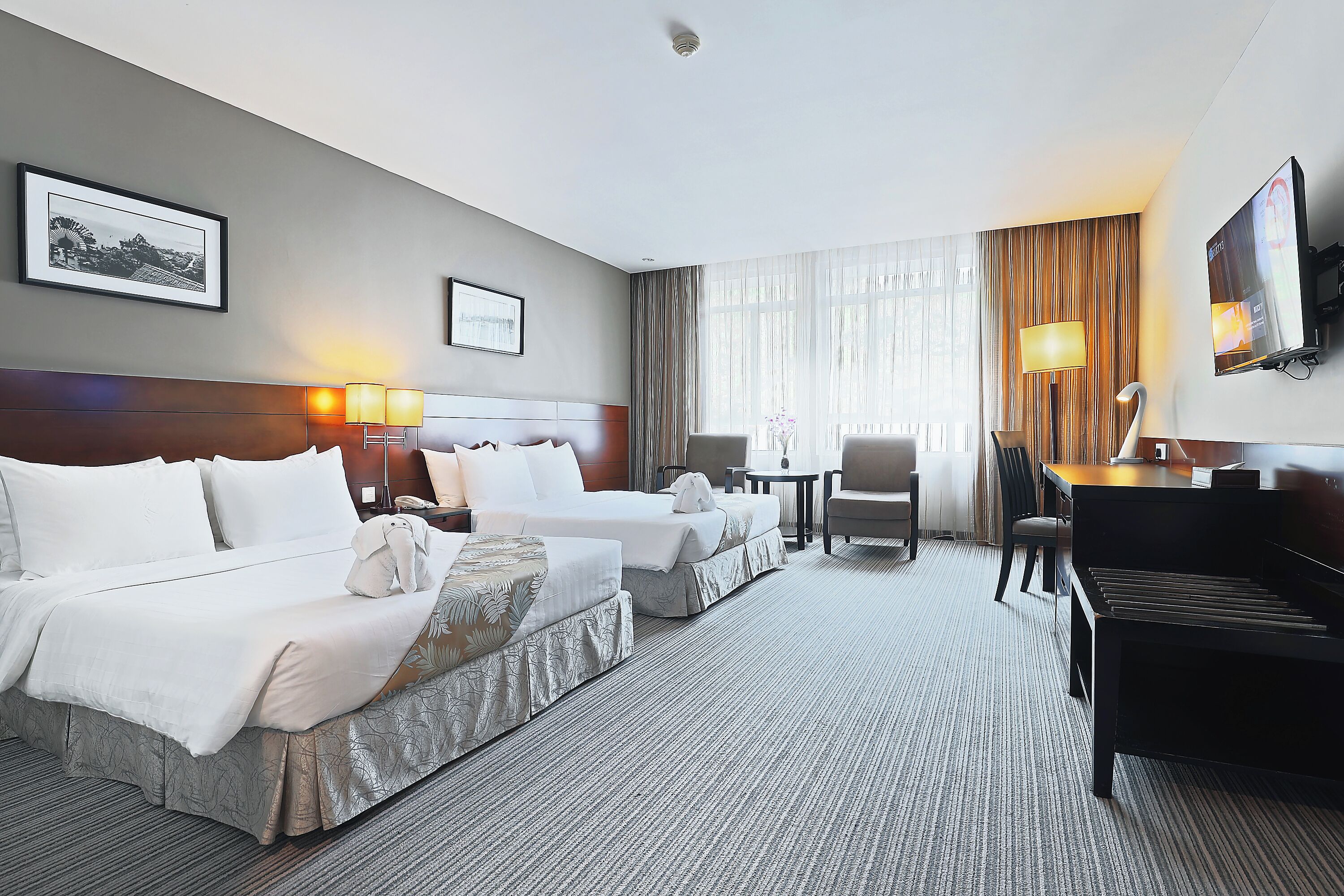 family deluxe | street view