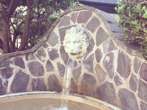 Fuente