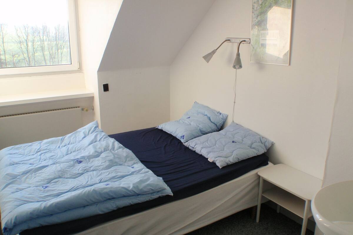 A single bed with a blue quilt and pillows, a bedside table, a wall-mounted lamp, and a window with a view of trees.