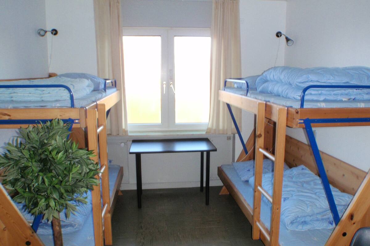 A dormitory room with two bunk beds, a small table, and a potted plant.