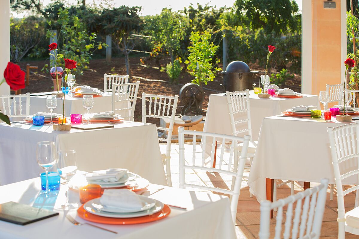 Un espace de restauration en plein air avec des tables et des chaises blanches, le tout agrémenté d’un décor de vignes en arrière-plan.