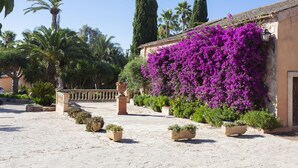 Une cour intérieure avec un bâtiment recouvert de fleurs violettes, entouré de palmiers et de plantes en pot.