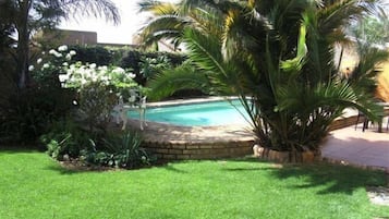 Seasonal outdoor pool, pool umbrellas, sun loungers