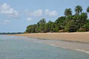 Playa privada, sombrillas, toallas de playa y pesca 