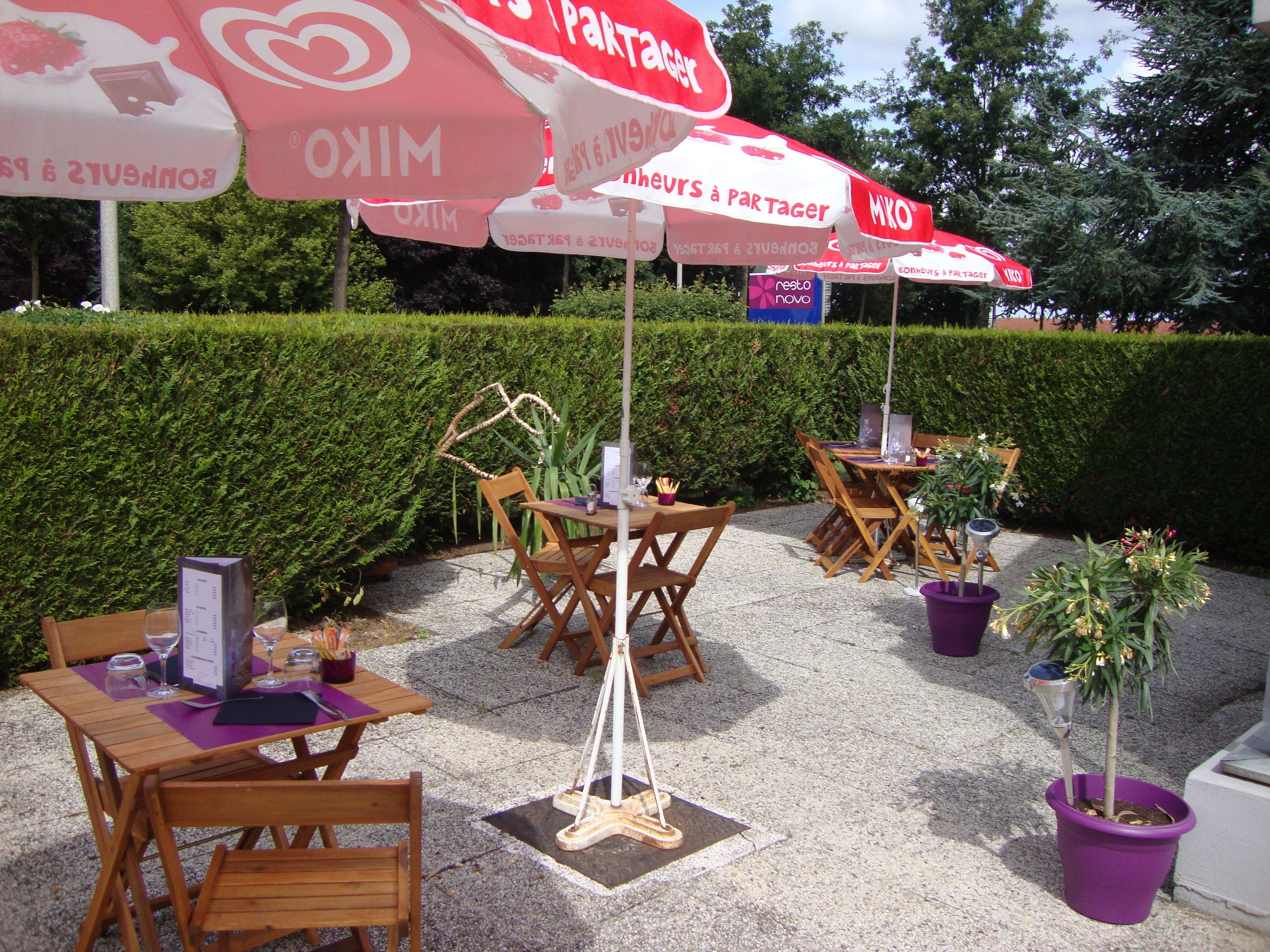 Terras