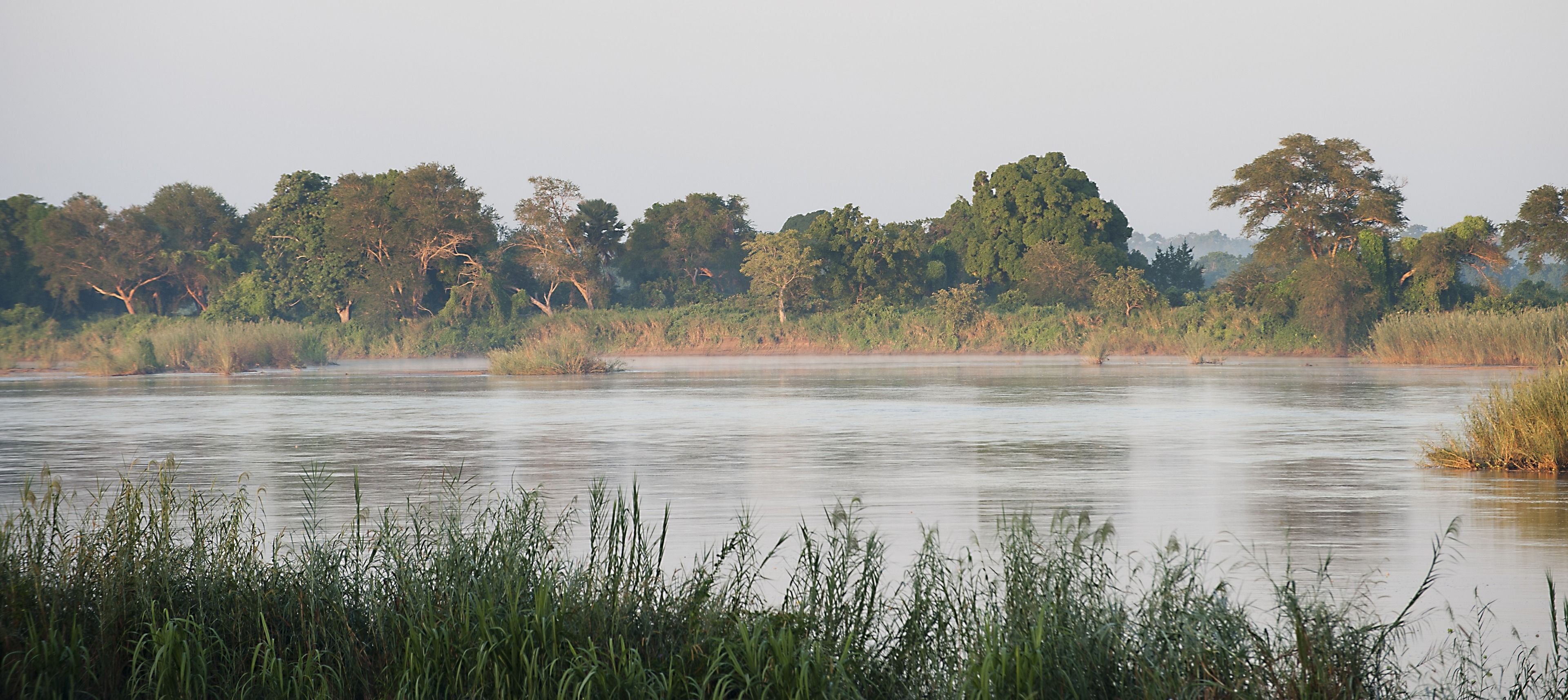 Un río tranquilo con árboles frondosos al fondo.