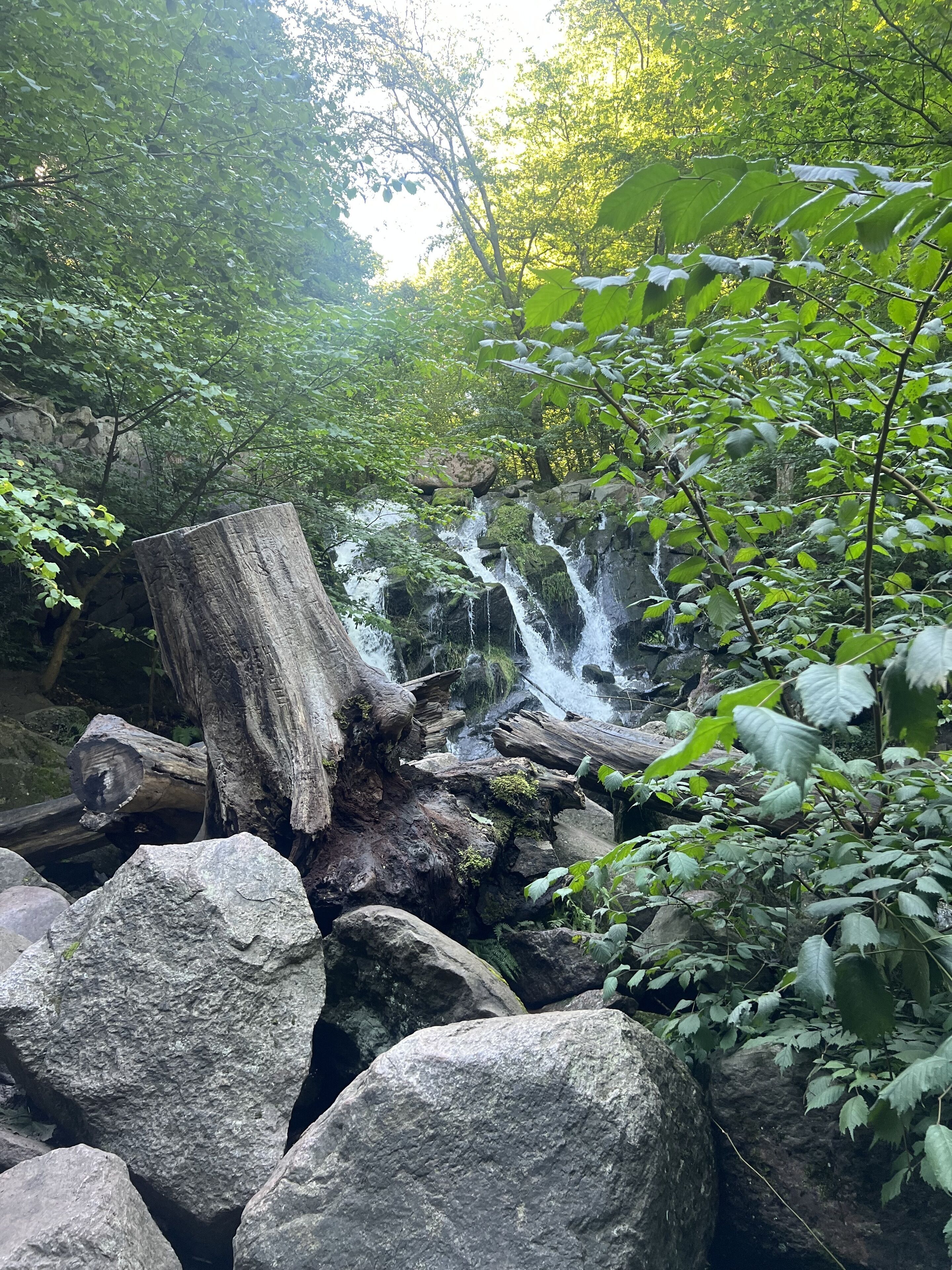Et naturligt landskab med et vandfald, store sten og frodig vegetation.