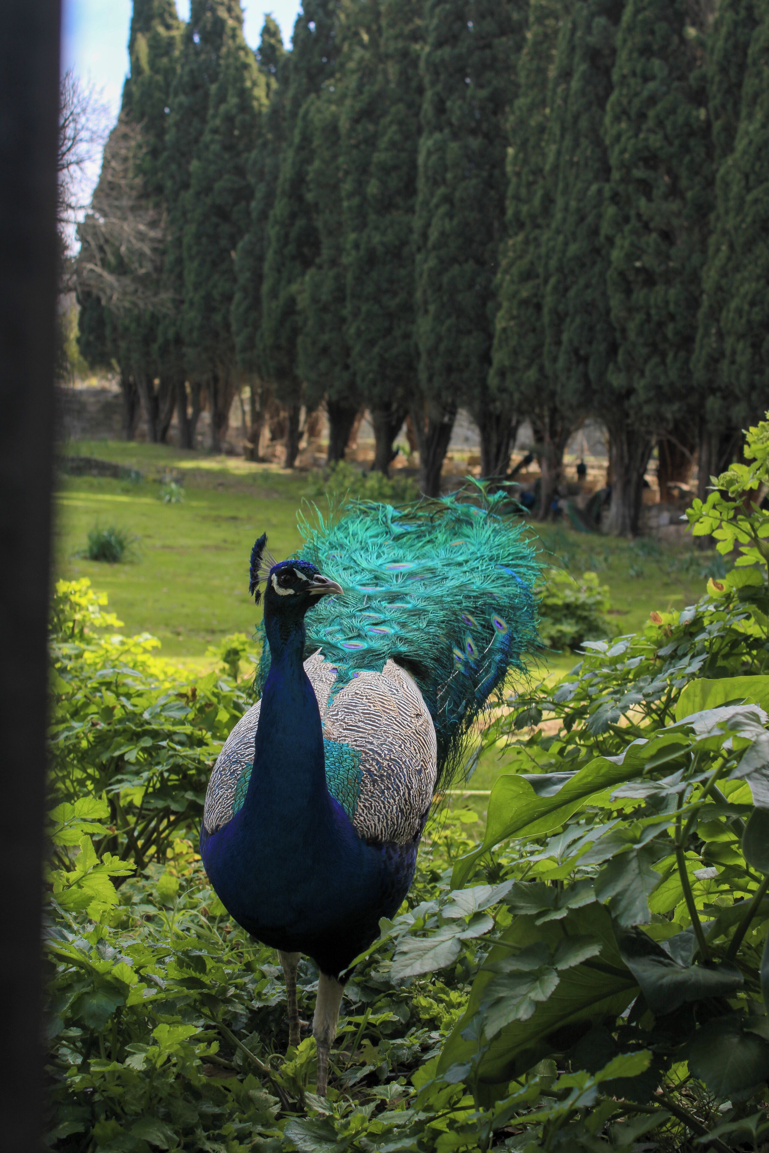 Foto - Amphitryon City Hotel