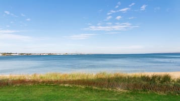 A coastal landscape with a grassy foreground, a wooden fence, and a clear blue sky.