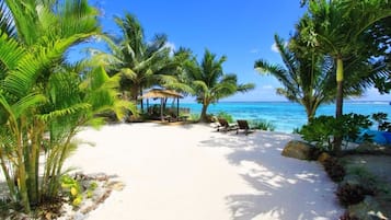 A beach with palm trees, lounge chairs, and a clear view of the ocean.