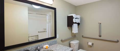 A bathroom with a sink, mirror, toilet, and handrails.