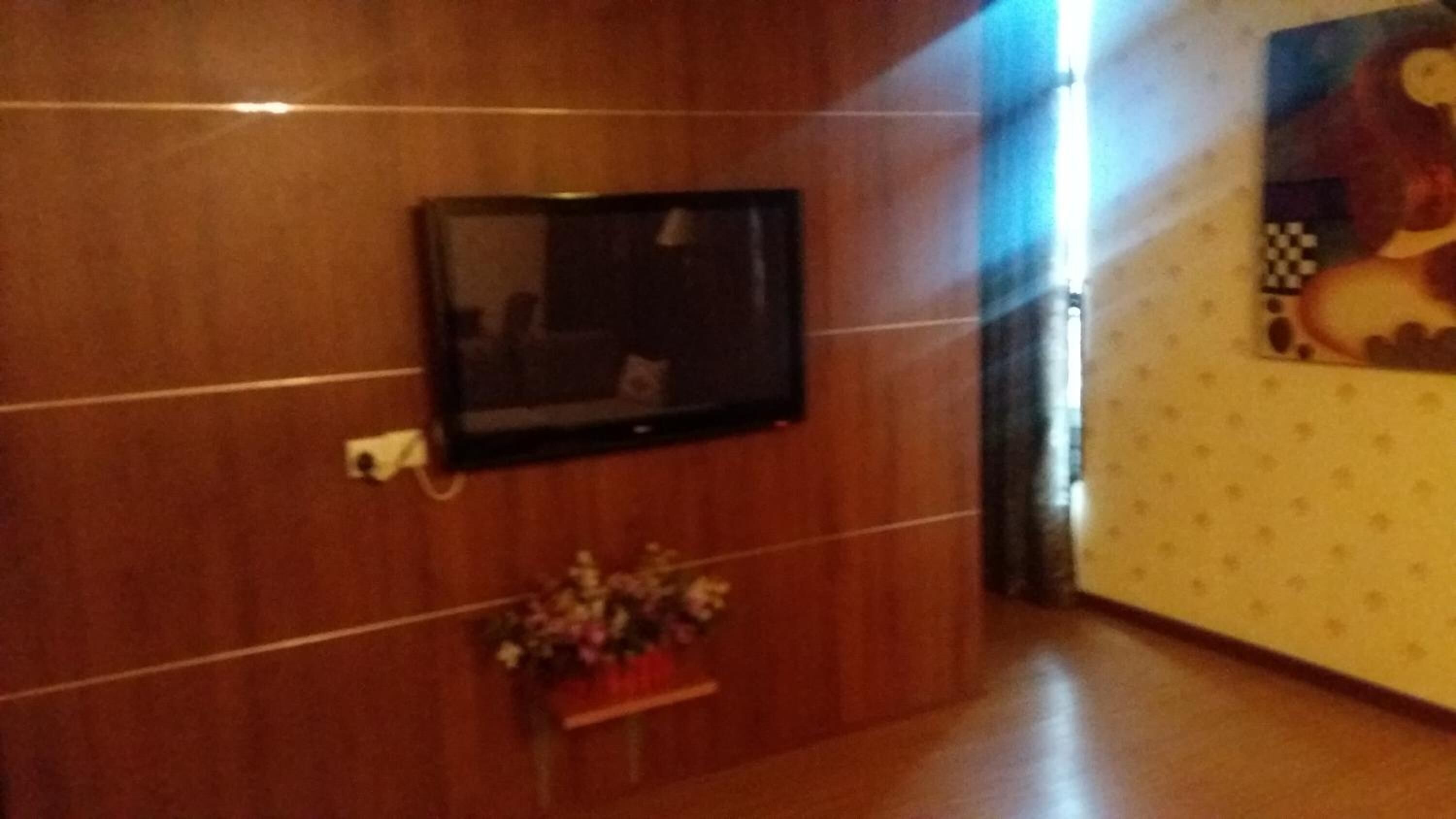 A room with a flat-screen TV mounted on a wooden wall, a small potted plant, and a patterned wall.