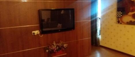 A room with a flat-screen TV mounted on a wooden wall, a small potted plant, and a patterned wall.