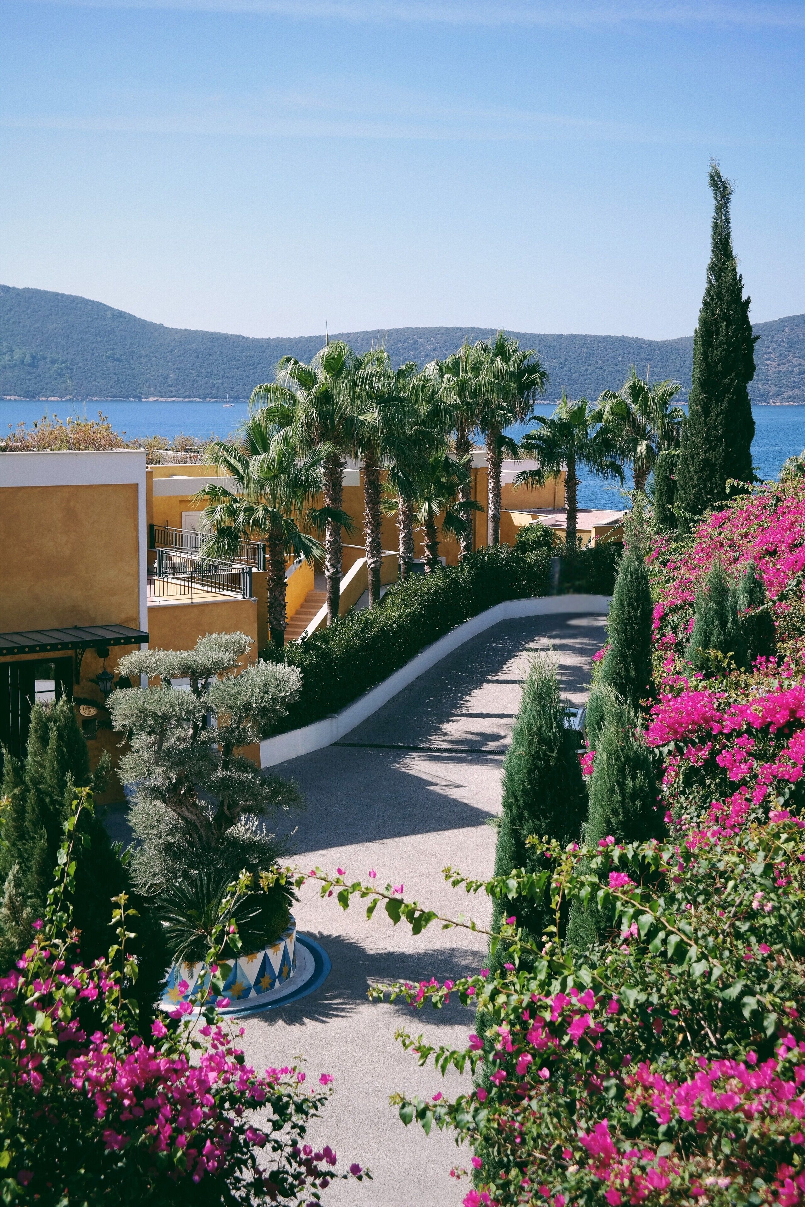 Photo - Casa Nonna Bodrum - Adult Only