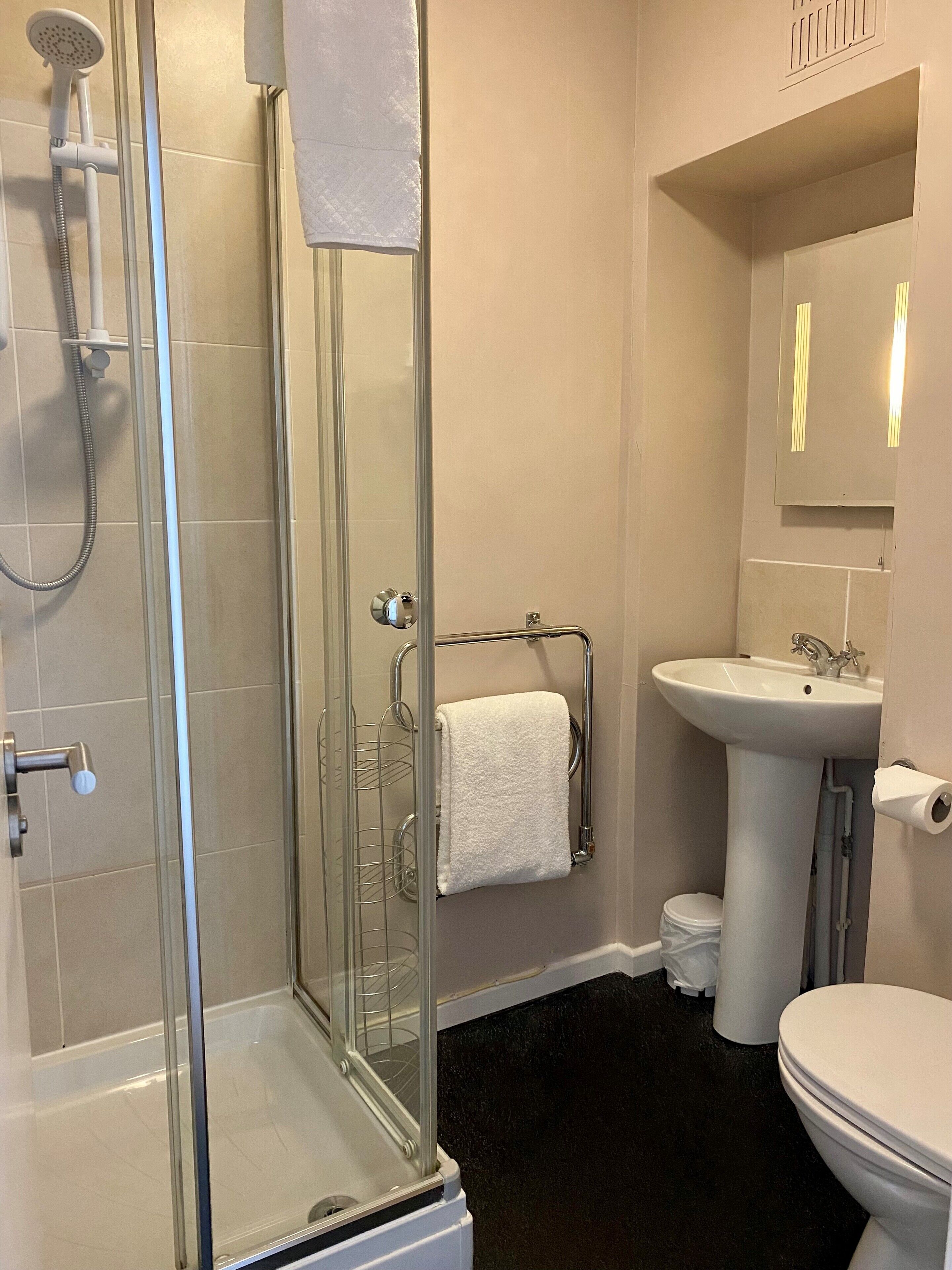 A bathroom with a glass-enclosed shower, a white sink, and a toilet.