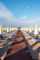 Beach cabanas, sun loungers, beach umbrellas