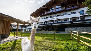 A building with a sign reading "huberhof" and a llama in the foreground. - Hotel Huberhof (Rum)