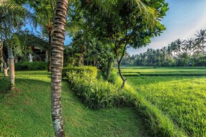 Garden view - Villa Sabandari (Ubud)