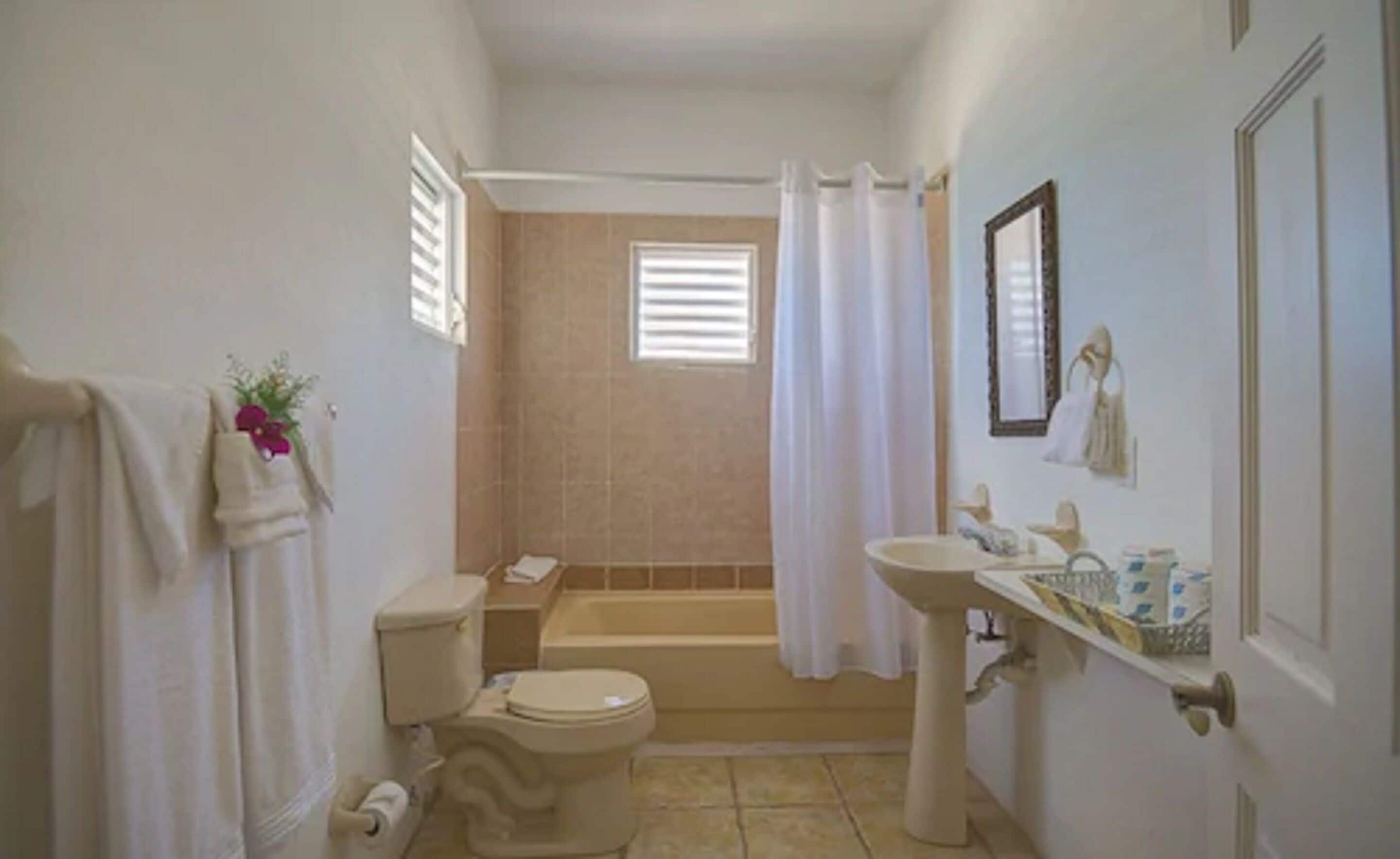 suite, 1 bedroom, kitchen, ocean view | bathroom | shower, free toiletries, hair dryer, towels