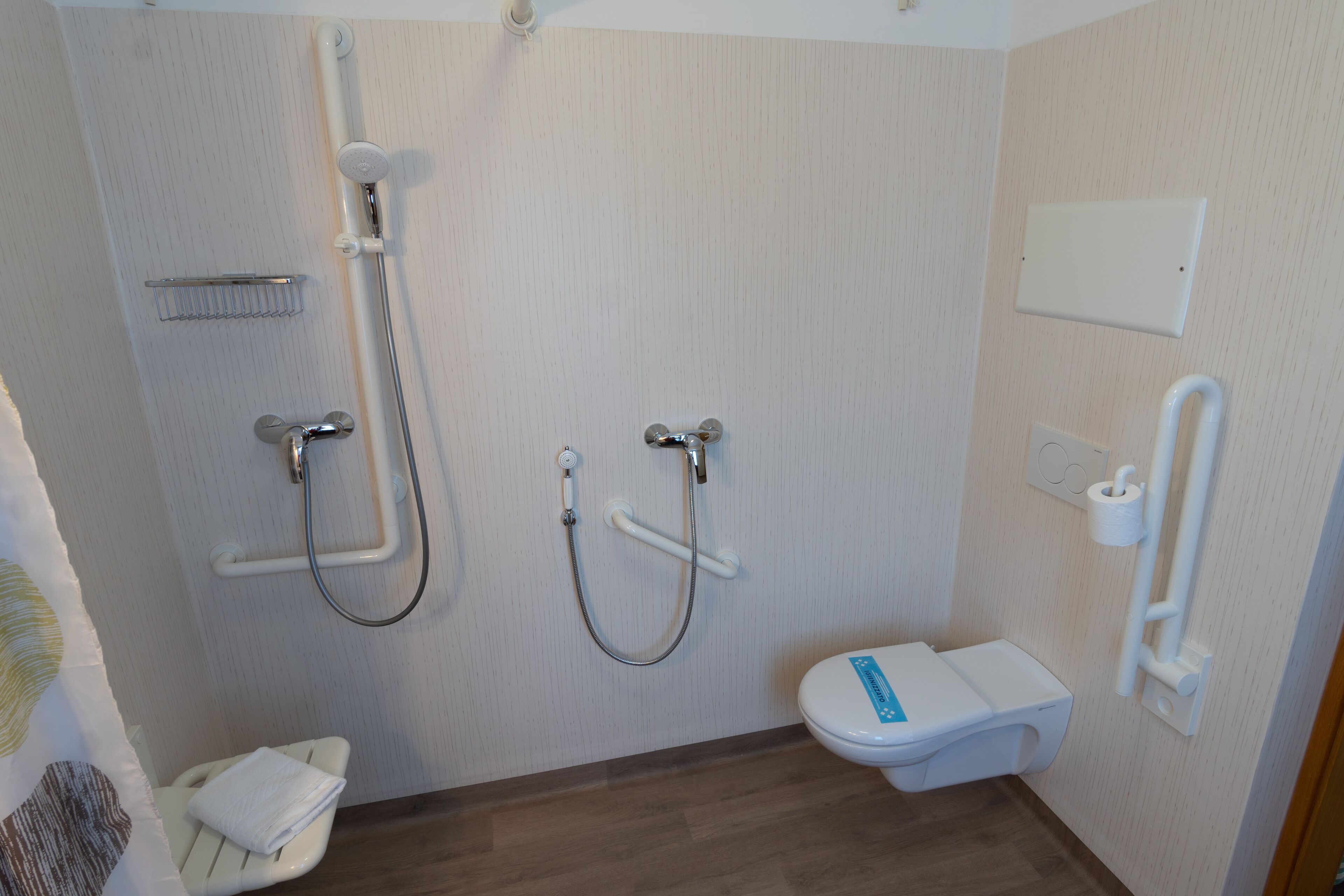A small, modern bathroom with a shower, toilet, and handrails.